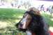 resIMG_20120129_1469.JPG